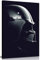 Darth Vader Star Wars Leinwanddruck, 61 x 40,6 cm