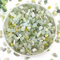 YISZM Galets de jade pour plantes grasses et cactus de 2,3 kg, pierres polies naturelles décoratives pour plantes d'intérieur, vases, jardinières et jardinage extérieur