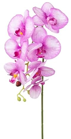 Gasper künstliche Phalaenopsis Orchidee REAL Touch pink lila H. 75cm Kunstblume