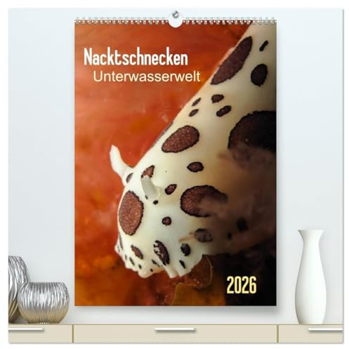 Nacktschnecken - Unterwasserwelt 2026 (hochwertiger Premium Wandkalender 2026 DIN A2 hoch), Kunstdruck in Hochglanz: Bunte Knallfarbe und möglichst ... zu heißen. (CALVENDO Tiere)