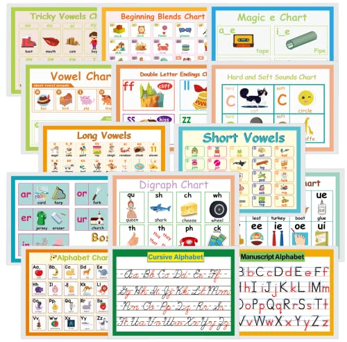 YIYEE 14 Pcs Language Arts English Posters for Classroom Decor |Alphabet Vowels Consonants Basic Phonics Anchor Posters for Kids | Sight Words Poster for Kindergarten, Primary School, A4