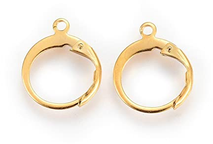 10 Stück Ohrhaken Edelstahl, Ring Ohrstecker, echt 24 Karat vergoldet, Ohrringe Klapp Brisuren Ohrhänger Rund Ohr-Verschluss Klappbügel Ohrringhaken