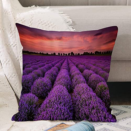 Kissenbezug 45x45 cm,Lila Lavendel Blumen Pflanze,Outdoor Kissen Kissenbezüge Kissenhülle Sofa Kissen dekokissen Zierkissen für Wohnzimmer Garten deko draußen