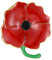 Emaille-Brosche mit der Aufschrift Never Forget, roter Mohnblumen-Gedenktag, Veteranen, Geschenk, Dekoration, Held, Veteranen, Gedenktag, Schmuck, Geschenke, Emaille