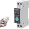 Interruttore senza fili Wifi Tuya,1P 10A 16A 20A 25A 32A 40A 50A 63A DIY Interruttore Intelligente TUYA/Smart Life APP Remote Controllo, Controllo Vocale e Timmer, WiFi Smart Switch con Misura (63A)