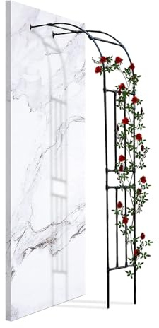 Arche de jardin en métal pour rosiers grimpants, treillis extérieur, pergola en acier pour montage mural, 60 x 240 cm, parfait pour les patios et les cours