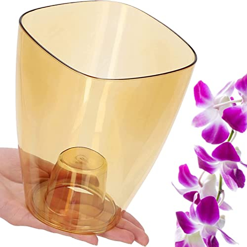 B2C Plant Orchid Pot Plastic 8 Colours Gloss Oval Planter Transparent Clear 12 cm (Honey transparent, Square)