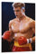 XINGSHANG Ivan Drago Boxer Poster Leinwand Kunst Poster und Wandkunst Bild Druck Moderne Familie Dekor Poster 20 x 30 cm