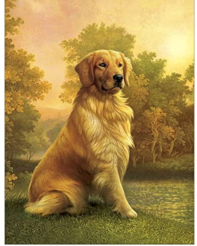 Diamond Painting Square Drill 40x50 cm Diamant Carré Painting Grand Format Adulte Chien Peinture diamant Chien Golden Retriever Peinture par Numéros Chiens Craft Buddy Crystal Point de Croix Animaux