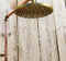 8 Inch Brass Shower Heads - Indoor/Outdoor Use