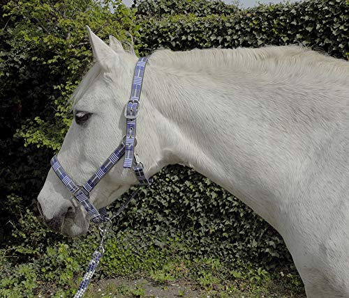 Rhinegold Carnival Headcollar & Rope Karnevals-Halfter und Seil, blau kariert, Volle Größe