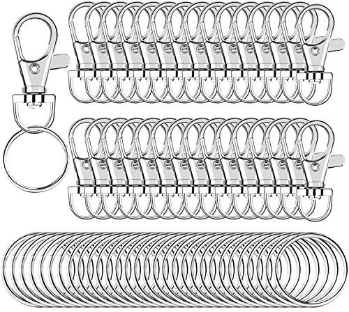 60 Pièces Anneaux Porte Clé, SANNIX Porte Clef Mousqueton avec Fermoirs Pivotants Attache Porte-clés Métal Pivotant Keychain Bricolage Accessoires pour Sac a Main Lanières Bijoux (Argent)