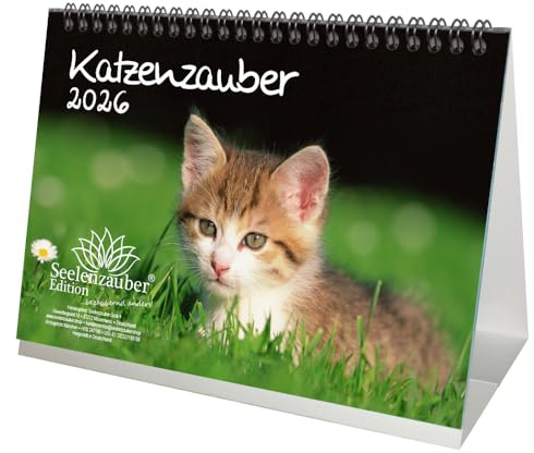 Katzenzauber DIN A5 Tischkalender für 2026 Katzen und Katzenbabys - Seelenzauber