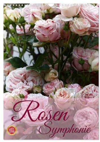 Rosen Symphonie (Wandkalender 2026 DIN A3 hoch), CALVENDO Monatskalender: Erleben Sie eine wundervolle Rosen Symphonie (CALVENDO Natur)
