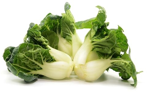 1000 Extra Dwarf Bok Choy/Pak Choi Seeds for Planting – Heirloom, Non-GMO, USA Grown, Premium Waterproof Protective Packaging - Grows 4 Tall by RDR Seeds