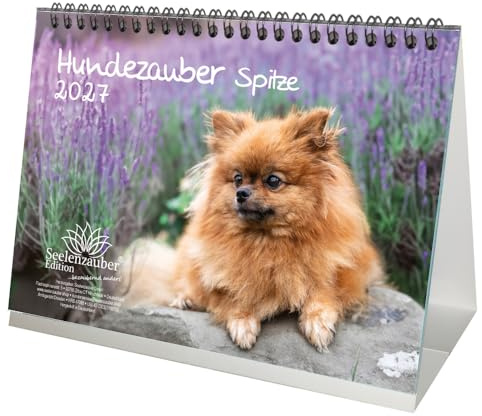 Hundezauber Spitze DIN A5 Tischkalender für 2027 Welpen und Hunde - Seelenzauber