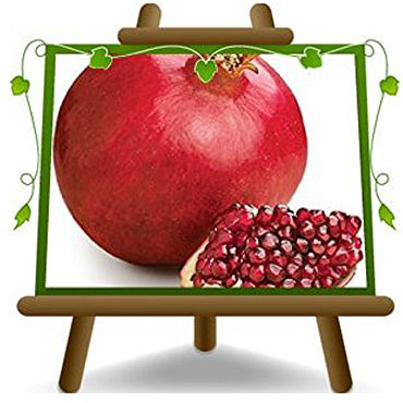 Melograno a Frutto Rosso Soft Seed 2® Altezza: 150~170 cm Età: 2 anni Vaso: 20 cm