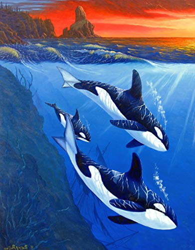 Zariocy 5D Diamond Painting Zubehör Delfin Sonnenaufgang, DIY Diamant Painting Malerei Bilder Tier Seeblick Sonnenuntergang Hai Malerei Crystal Strass Stickerei für Haus, Wand Dekorationen 30×40cm