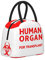 Lustige Lunchtasche für Krankenschwestern, menschliches Organ für die Umpflanzung, Lunchbox, tragbar, wasserdicht, wiederverwendbar und thermo, Arbeit, Mahlzeiten, Outdoor, Picknick mit Vordertasche