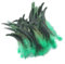 50 plumas de gallo naturales, plumas de faisán de 20-25 cm para manualidades, cola de gallo verde, plumas de faisán para manualidades, bodas, hogar, fiestas (50)