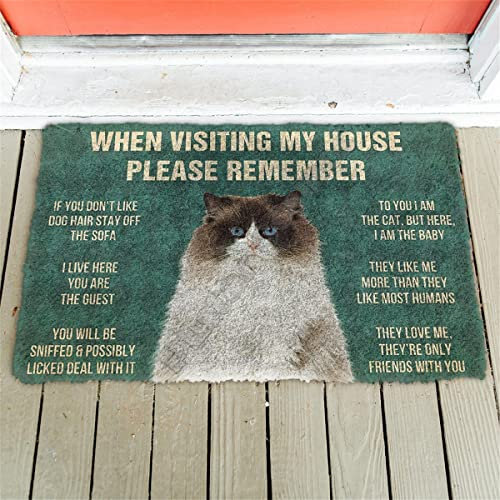 Eingangstürmatte Bitte Denken Sie daran, Ragoll Cats House Rules Custom Fußmatte rutschfeste Tür Fußmatten Home Decor 16x24
