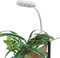 JOROBURO Lampe à Pince LED Professionnelle pour Aquarium et Terrarium - Économie D'énergie, Haute Luminosité, Croissance des Plantes