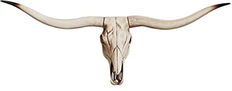 Pleayietoopiatiey Resin Long Horned RAM Decor Skull Wall Mount Skull Decor for Home Office A 77.5x32x12 cm, Type A