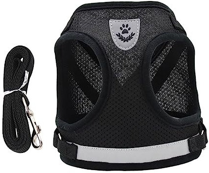 Toddmomy Hundeleine Für Welpen Und Erwachsene Hunde Haustier-Seil Für Nachtspaziergänge Hunde- Und Leinen-Set