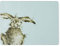 Wrendale Designs - 'Hare-Brained' Glass Worktop Saver