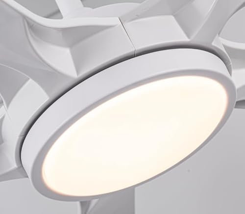 Newday 1126 ceiling fan LED