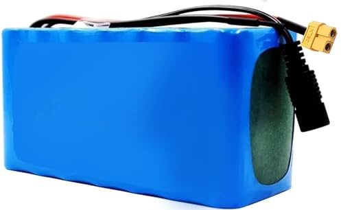 Batería De Litio para Bicicleta Eléctrica De 24V, 25,2V, 29,4V, 48V, 8AH, 10AH, 12AH, 15AH, 18AH, 20AH, 25AH, 30AH, Ajuste De Iones De Litio con Protección BMS para De 1000W 25. 2V18AH,XT60