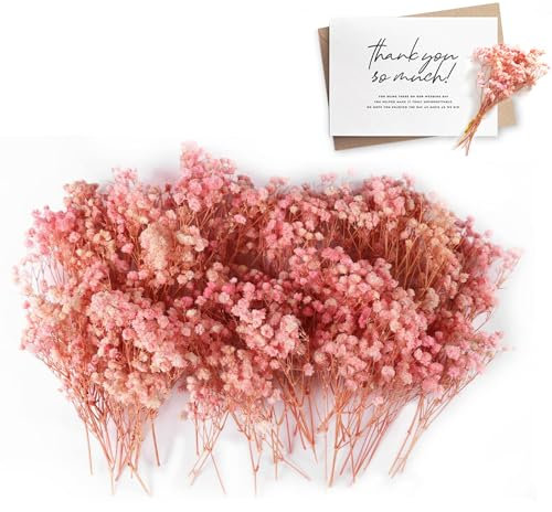 Schleierkraut Getrocknet, 100 Stück Schleierkraut Klein Trockenblumen zum Basteln Getrocknete Blumen Getrocknete Blüten für Hochzeit Lesezeichen DIY Karten Deko (Rosa)