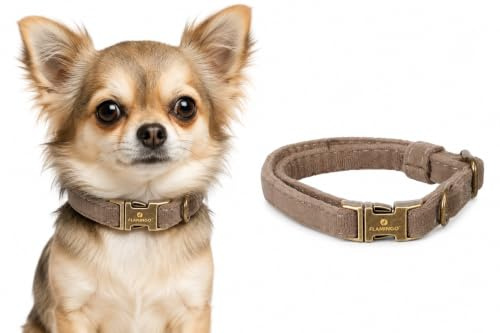 Halsband Hund - Janka Hundehalsband aus Nylon - Verstellbar - Robuster Klickverschluss - Taupe - XS 20–35 cm x 10 mm - Flamingo