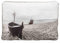 TRIXIE 36384 Kissen Beach