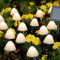 Dekofun Solar Garden Lights 20 LED Mushroom Solar Lights, Outdoor Waterproof Garden Ornament Mushroom Light for Pathway Landscape Patio Yard Lawn Backyard Wedding Party (Warm White)