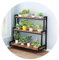 Fioriera A Scalas De Interni Esterni Scaffale Porta Piante in Legno con Struttura di Metallo Larghezza 80 100 120 Cm Stand di Piante Scarpiera Scaffale Organizzatore Risparmio di Spazio
