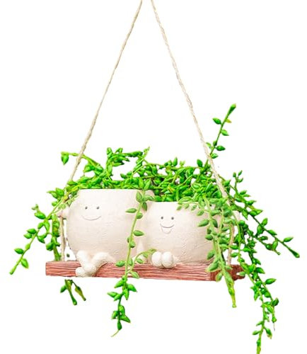 LUPATDY Maceta pequeña,Macetas colgantes con cara de columpio,Macetas suculentas con agujeros de drenaje,Mini cactus planta macetas,Macetas de resina,Maceta colgante para plantas
