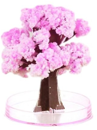 QUXVUIS Albero in crescita magico interattivo Esperienza di apprendimento divertente per bambini Albero in crescita desktop Albero in crescita Per Sakura Durevole