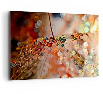 ARTTOR Bilder auf Leinwand 120x80cm Wandbild Sonstige Natur - 3774
