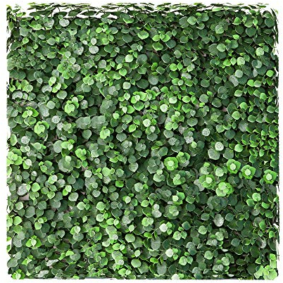 ECOOPTS 50,8 x 50,8 cm künstlicher Buchsbaumhecken Sichtschutz Grün Pentago Panel für Außenbereich, Garten, Garten, Sichtschutz, Zaun Efeu, Dekoration