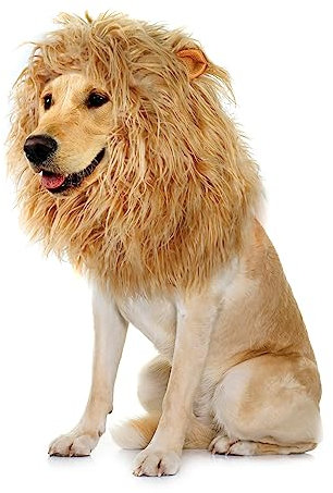 Onmygogo Löwenmähne Perücke für Hunde mit Ohren, lustige Haustierkostüme für Halloween Weihnachten (M, Gelb)