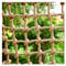 Sicherheitsnetz Kletternetz Hanf-Seilnetz, Kindersicherheitsnetz Schutznetz,Spielplatz Handgewebter Jute-Rahmen Sicherheitsnetz, Fallschutznetz for Balkon Treppe Baumhaus Schaukelzaun Hängematte ( Col
