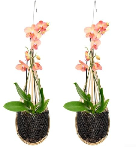 SPORTARC Hängekörbe, eleganter und handgefertigter Orchideen-Pflanzenaufhänger, leichtes Material