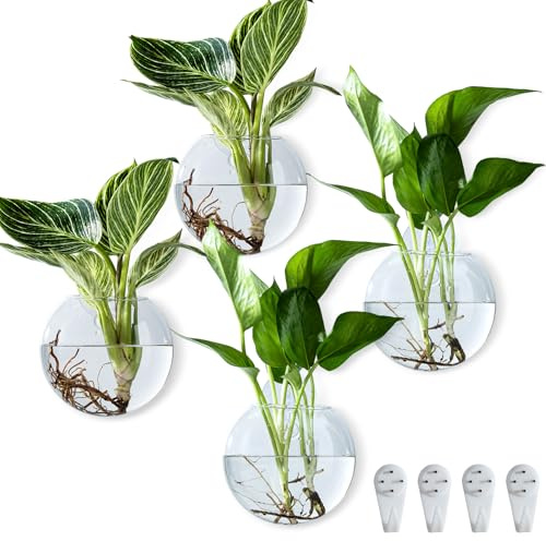 CHPINDAM Wall Hanging Planter Propagation Station, Oblate Glass Flower Vase for Propagation, Wall Planter for Indoor Plants, Modern Home Office Corridor Bathroom Decor (2)