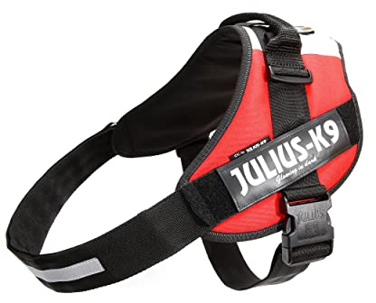 Julius-K9, Arnés IDC Power, Tamaño: 3XL / 4, Bandera Húngara