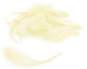 3g Hahnenkreuz Federn ca. 8-13cm (ivory/elfenbein 810) // Dekofedern Bastelfedern Federn Hahn Natur Schmuckfedern Vogelfedern Hahnenfedern