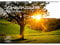 Sonnenzauber DIN A3 Kalender - Immerwährender Kalender Sonne und Licht - Seelenzauber