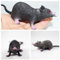 Fausse Souris 2pcs Souris réalistes Faux Rat Jouet de Souris Jouet fark Trucs pour Halloween Accessoires effrayants drôles Halloween décor