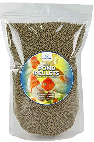 SAKANA Pond Fish Pellets | Premium Quality Aquatic Food Mixture | Healthy and Nutritious Daily Feed for Ornamental Cold-Water Aquarium Fish | Easily Digestible & Great Source of Vitamins (500g)