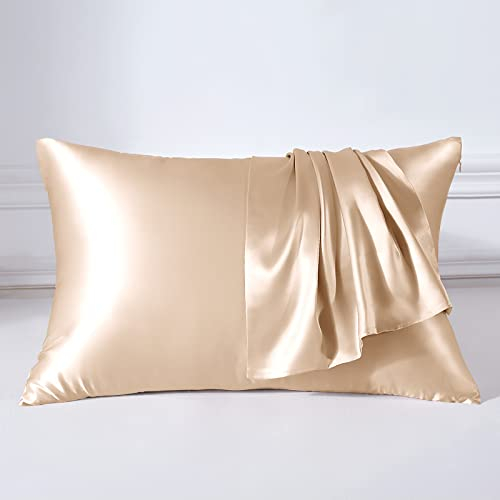 THXSILK 22 Momme Seide Kissenbezug - 100% Seide Kopfkissenbezug Sofakissenbezug - Anti milben Reißverschluss Seidenkissenbezug - Champagner 40 x 60 cm